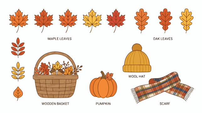 Autumn Vector Collection with Pumpkins, Leaves and Thanksgiving Turkey Set for Halloween Harvest Seasonal Holiday Decoration and Greeting Card Design