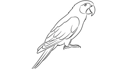Fototapeta premium Line art illustration depicts a parrot with detailed feather texture on a white background