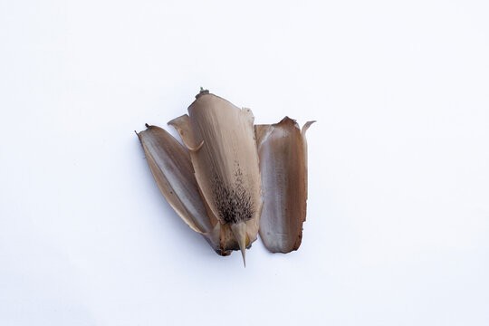 Dry bamboo culm sheath pieces isolated on white background for natural material and traditional craft. dried Bambusa sheath leaves isolated on white background for organic natural background design