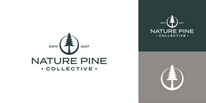Modern evergreen Simple minimalist vintage wild tree pine logo design