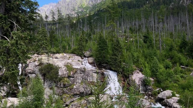 Upper section of Obrovsky Waterfall cascading over rocks surrounded by forest with high mountain peaks in background, High Tatras   