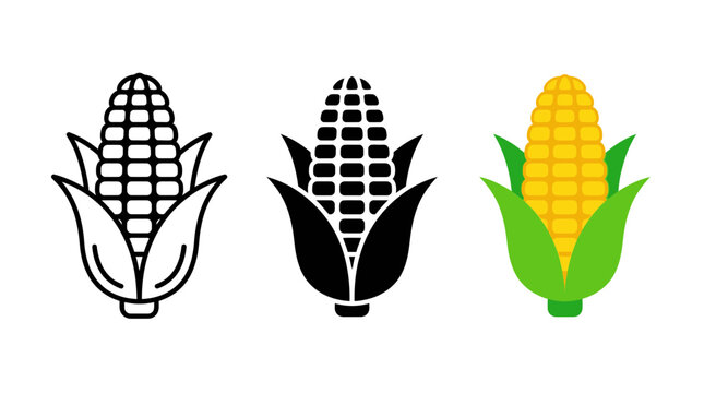 Fresh corn on the cob vegetable illustration icon set with vegetable agriculture illustration nutrition ingredient