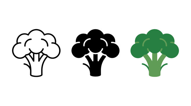 Fresh broccoli vegetable icon set in linear silhouette and colored style with broccoli vegetable nutrition silhouette