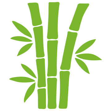 Green bamboo plant with leaves illustration