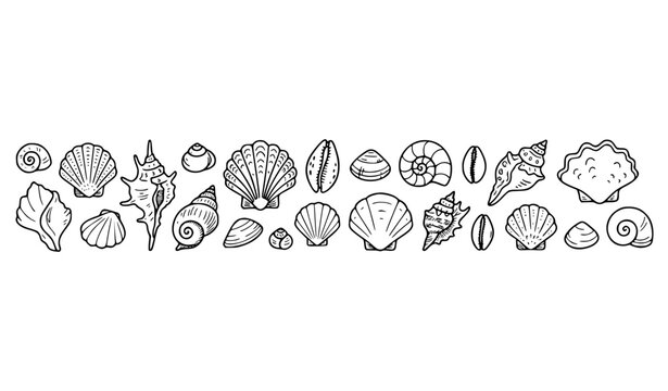 Black Doodle Outline Sea Shell Collection Vector Set