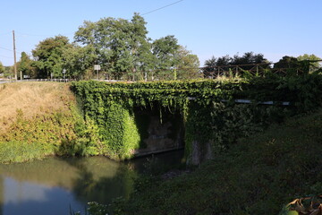 Fototapeta premium Canal latéral à la Garonne, ville de Damazan, département du Lot et Garonne, France