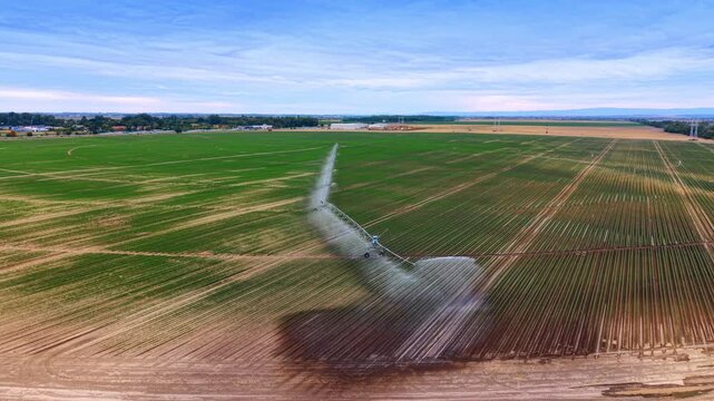 Aerial view of an automated irrigation system watering green crop field. A central pivot irrigation machine sprays water over agricultural rows under a blue sky.