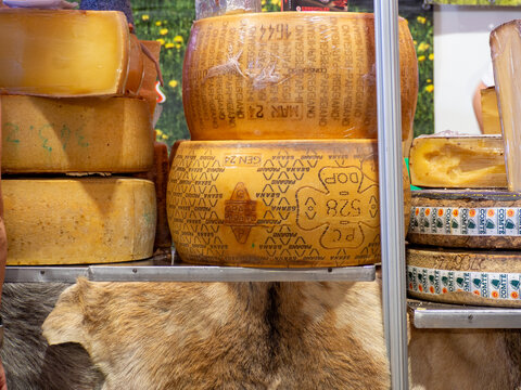 Zamora, Spain - September 20, 2026:Person viewing cheese wheels at Fromago cheese fair in Zamora