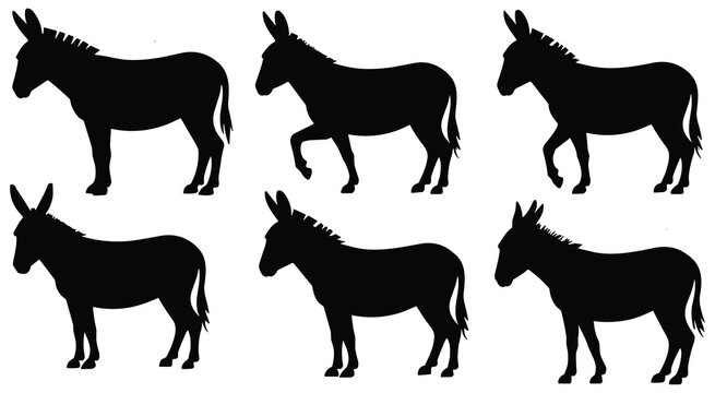 Set of donkey silhouettes isolated on white background