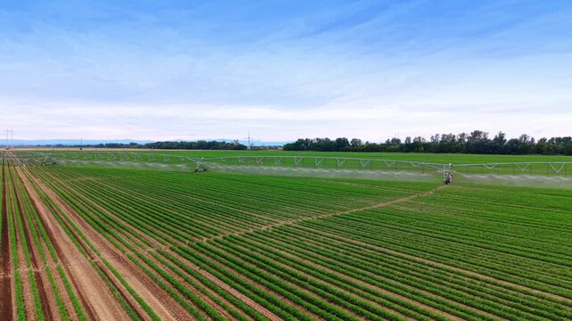 Wide aerial shot of center pivot irrigation line on agricultural land. A metal watering system extends across organized crop rows beneath light cloudy sky.