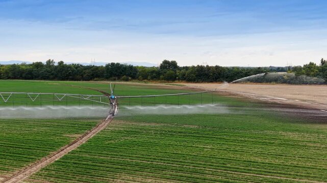 Wheel structure of center pivot irrigation system moving on dirt track. An aerial medium shot captures mechanical equipment watering cultivated vegetation in daylight.