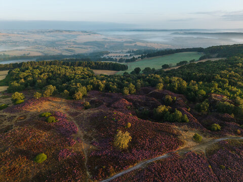 Beautiful drone landscape image over Stanton Moor in Summer Heather sunrise