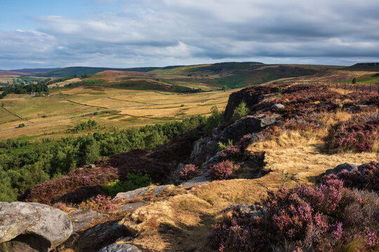 Stunning Peak District landscape from Surprise View with vibrant heather and dappled sunlight over the hills