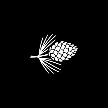 Hanging pointed leaves and white pine cones against a black background high resolution picture
