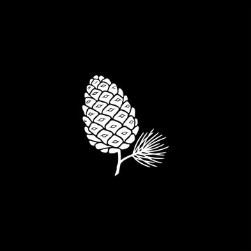 Christmas pine cone illustration in monochrome vector style high resolution picture