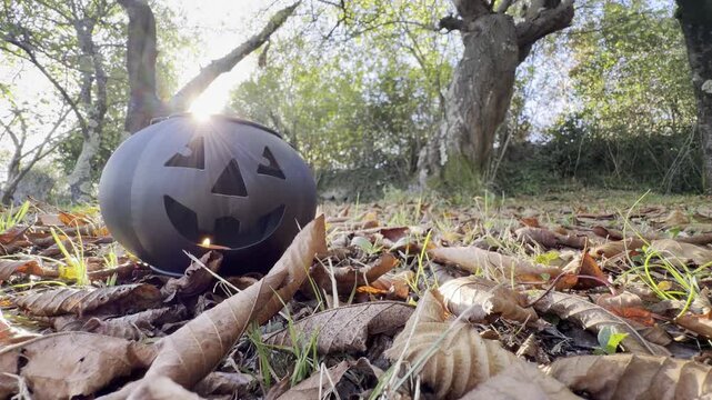 Horizontal wide-angle Halloween video featuring a carved pumpkin illuminated by a ray of sunlight hitting its edge. Moving leaves gently interrupt the light, creating a beautiful soft flickering glow 