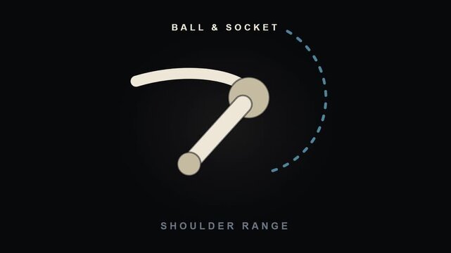 Shoulder Rotation Range Animation with Ball and Socket Joint for Video Editing and Graphic Works