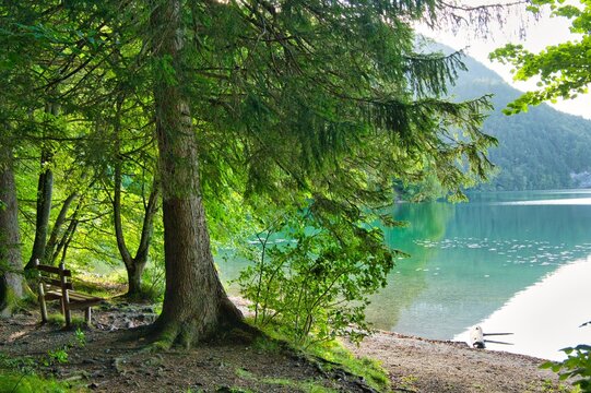 Wei&szlig;ensee im Allg&auml;u