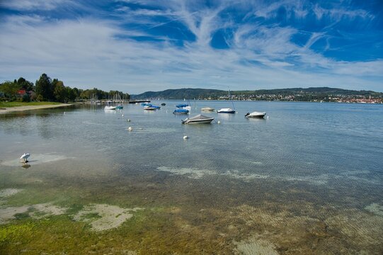 Bodensee bei Konstanz-Dingelsdorf