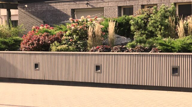 Landscaped planter with ribbed cladding lines paved courtyard walkway