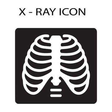 Human chest rib cage X-ray radiograph scan icon vector illustration
