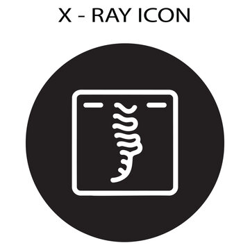 Human spine X-ray scan circular icon vector illustration for radiology