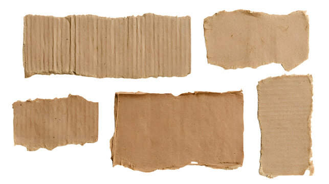 Ripped cardboard pieces isolated on transparent background isolated on transparent background