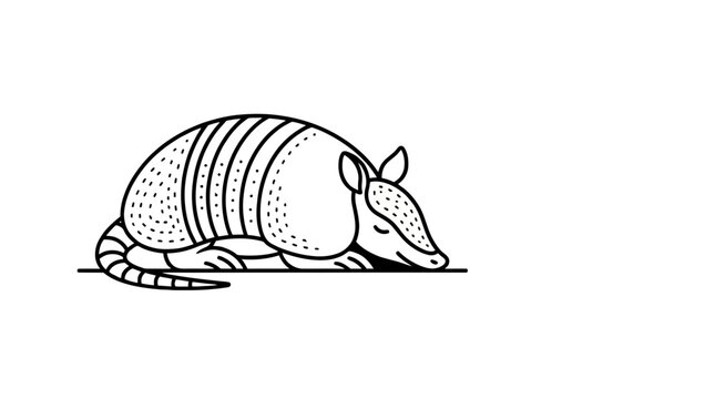 Minimalist line art illustration of a sleeping armadillo isolated on white background.