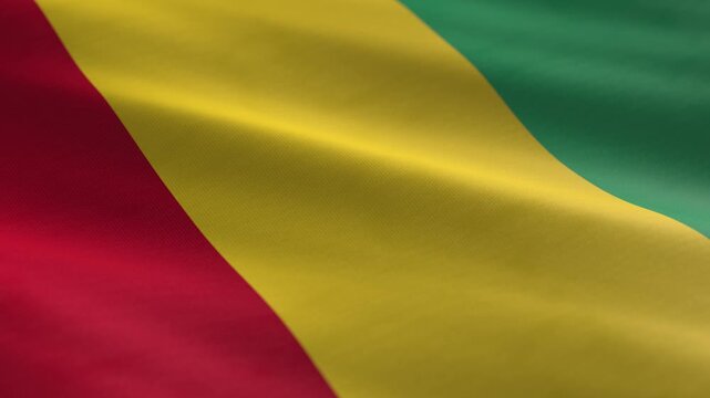 Guinea - waving flag loop