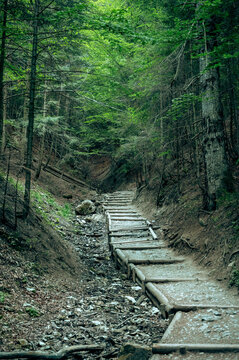 Wooden steps on a mountain ascent
