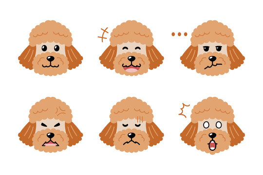 Cute poodle dog face with six expressions set cartoon vector illustration