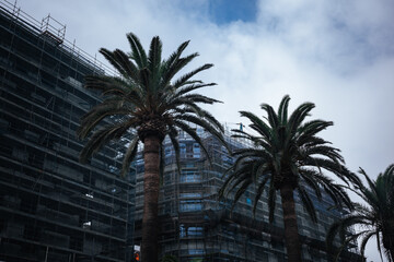Palms in front of a building under construction with scaffolding and cloudy sky in the background © Bohdan
