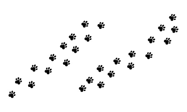 Paw print vector set featuring dog and cat footprints, animal tracking trails, path symbols, and pet navigation illustrations for pet care, veterinary, and animal-themed designs.