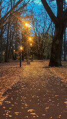 Obraz premium Path in the park with benches and street lights during twilight hours