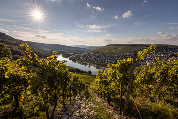 Obraz premium Sonnenstern über Bernkastel-Kues und der Mosel mit Blick ins Moseltal