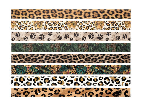 Set of leopard print patterns and animal skin textures with jungle leaves and paw prints isolated on transparent background