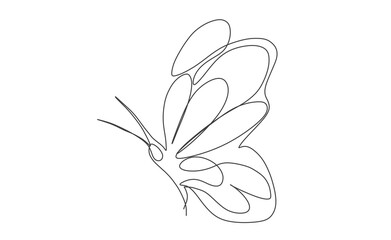 Obraz premium Continuous line drawing of beautiful butterfly