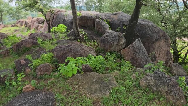 Weathered Rocks Beneath Mature Green Trees