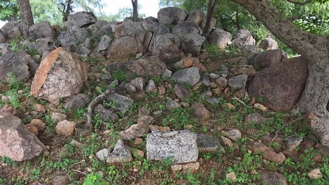 Weathered Rocks Beneath Mature Green Trees