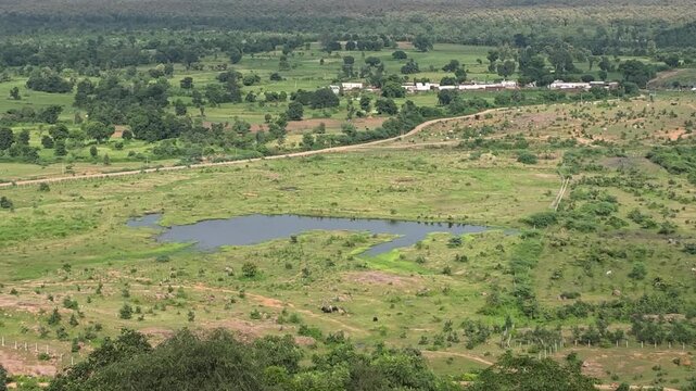 Green Countryside With Small Water Ponds