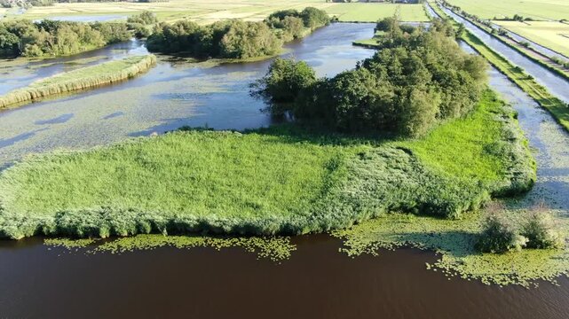 Aerial view of reed beds and marsh channels in a Dutch drone shot