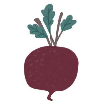 Cute Hand Drawn Vegetable Illustration Collection