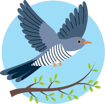 Cute Cartoon Cuckoo Bird Vector Illustration Flying Above Tree Branch with Green Leaves in a Blue Circle Badge for Wildlife Graphic Designs