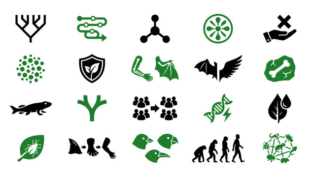 evolution biology natural selection and speciation icon set vector .