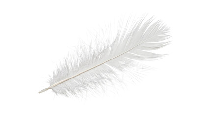 Soft white bird feather lying diagonally with delicate fluffy details for elegant concept designs. © Highres