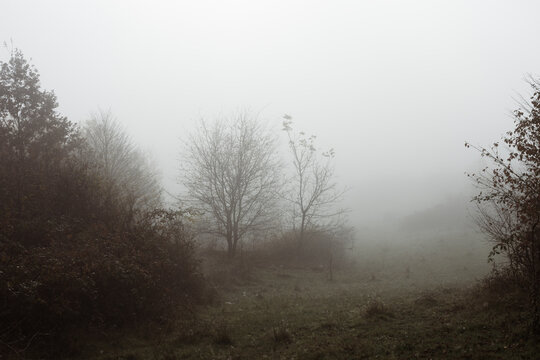 Fog covered landscape in early autumn morning