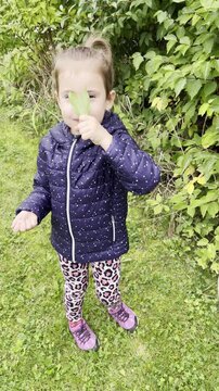 Funny little girl sticking her tonque out while playing near green bush outdoors