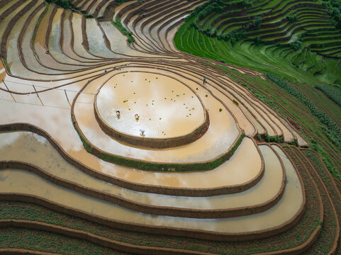 Aerial View of Mam Xoi Rice Terraces During Water Season