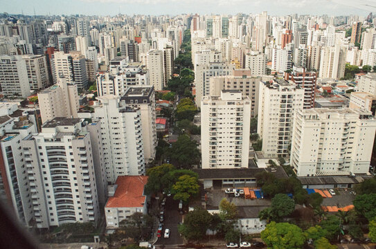 High-rise apartments amid lush tree-lined streets
