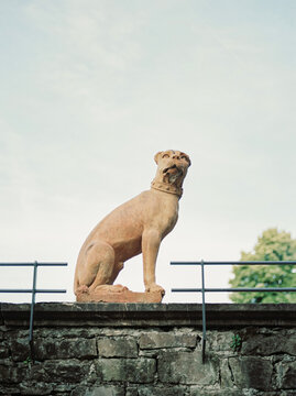 Ancient dog shaped statue in Boboli's garden, Florence
